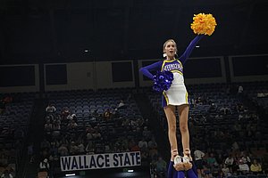 IMG_3324.JPG