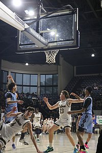 IMG_4743.JPG