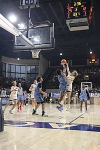 IMG_4782.JPG