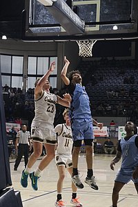 IMG_5223.JPG